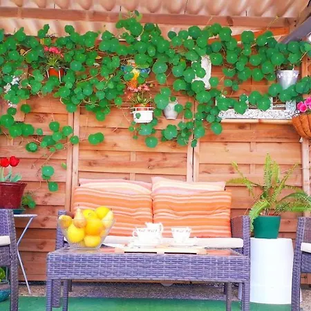 Playa Rum i privatbostad El Altet