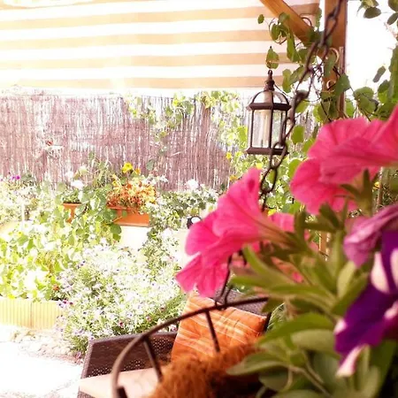 Playa Rum i privatbostad El Altet